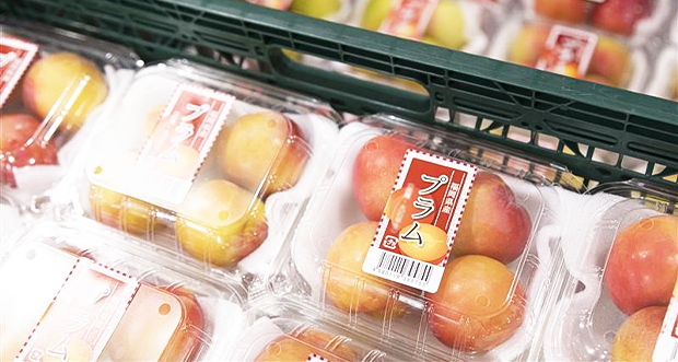 産直品EC物流サービス