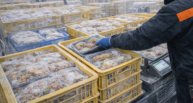 冷凍プラットフォーム